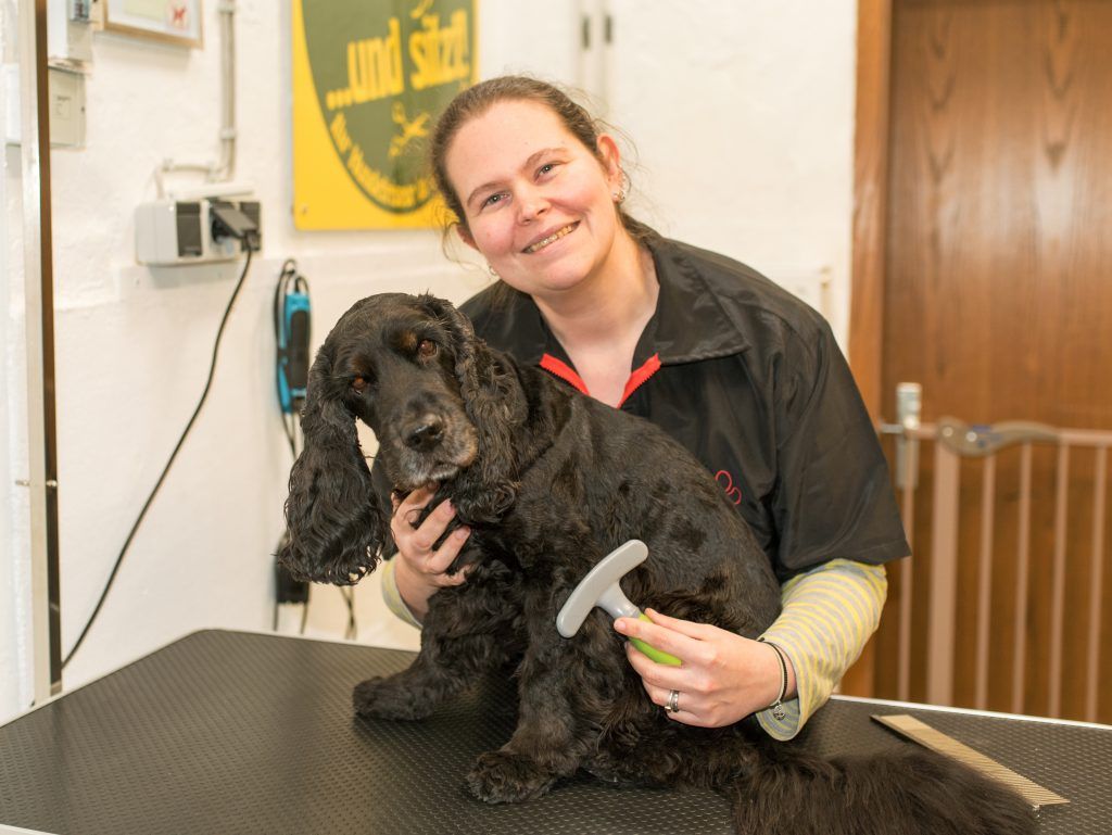 Nutzerfoto 1 Hundefriseur und sitzt!