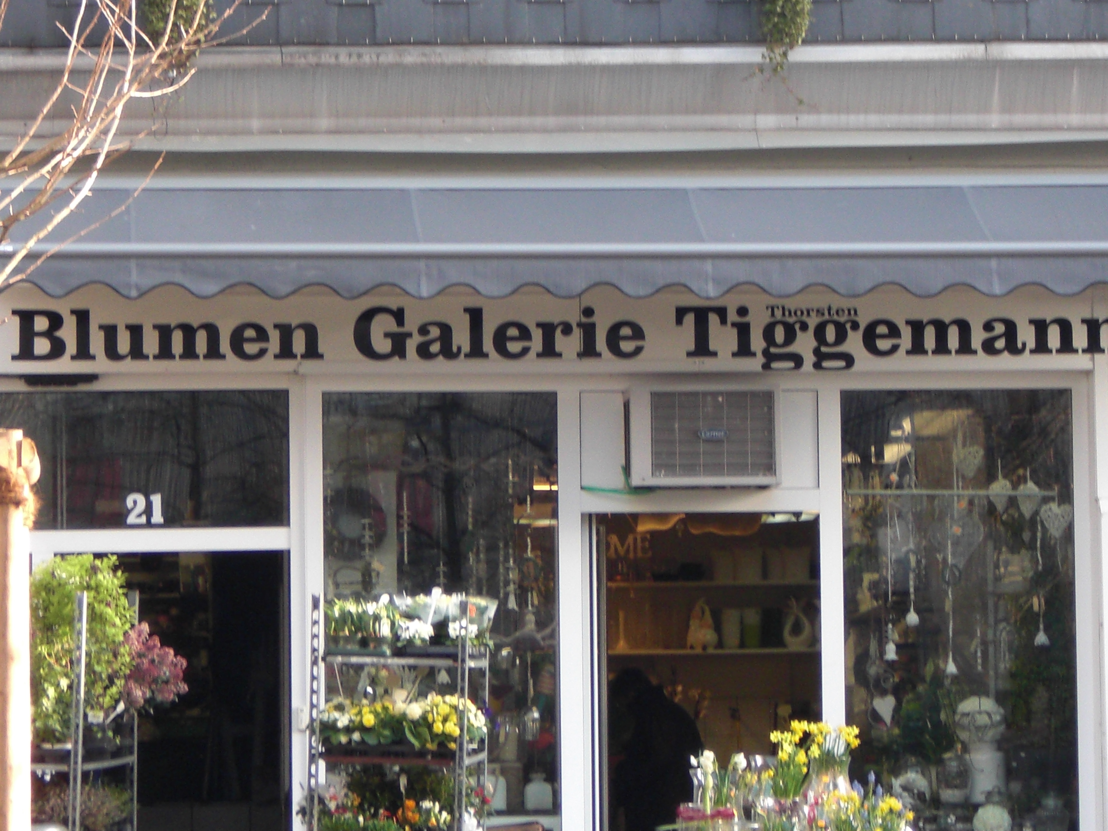 ➤ Blumengalerie Thorsten Tiggemann 45525 Hattingen Öffnungszeiten | Adresse  | Telefon