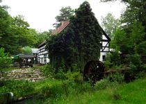 Bild zu Bremsdorfer Mühle Inh. Ines Horn