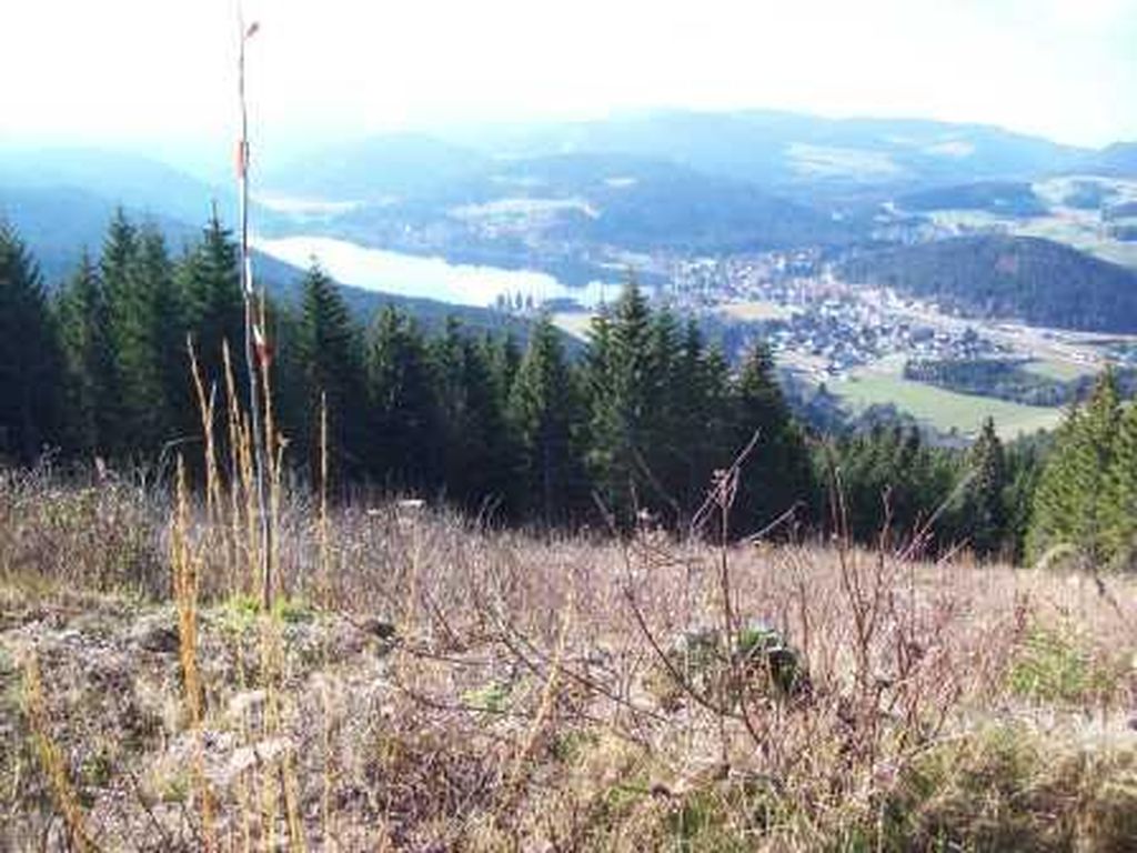 Nutzerfoto 10 Hochfirst Berggasthof