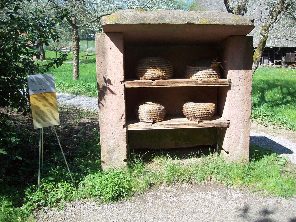 Nutzerfoto 53 Vogtsbauernhof - Schwarzwälder Freilichtmuseum