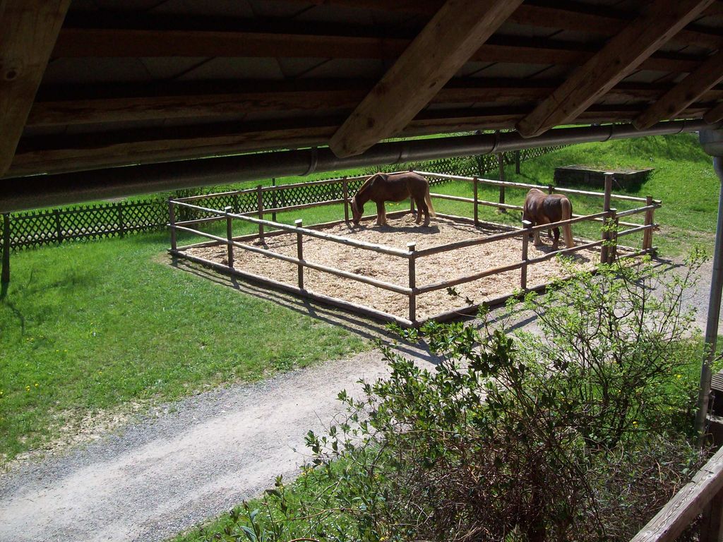 Nutzerfoto 85 Vogtsbauernhof - Schwarzwälder Freilichtmuseum