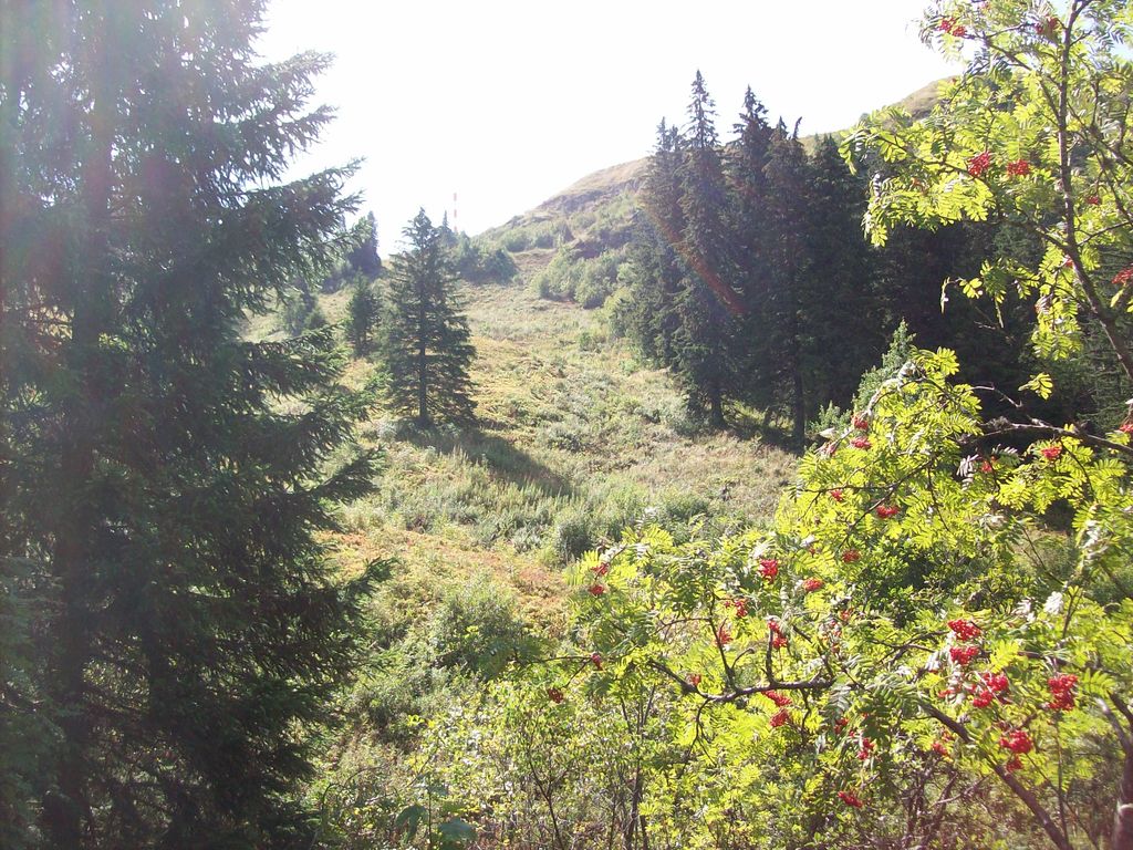 Nutzerfoto 18 Zastlerhütte