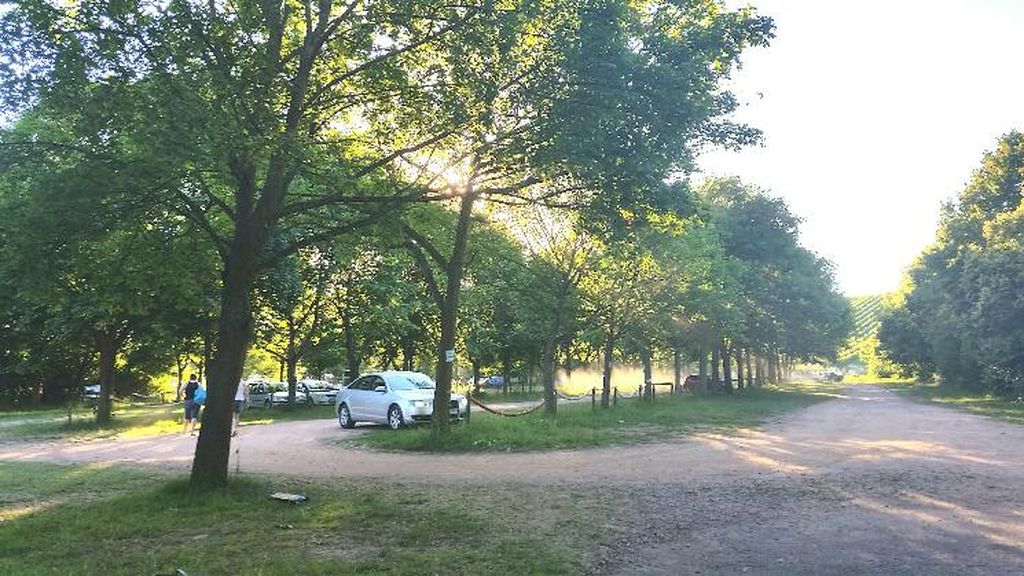 Nutzerfoto 9 Schwimmbad Wörrstadt Neubornbad Freibad der Verbandsgemeinde Wörrstadt