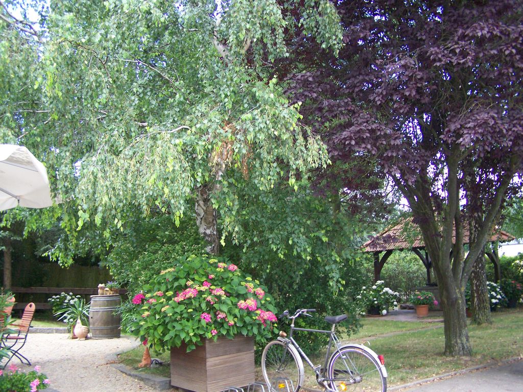 Nutzerfoto 12 Landgasthaus Birkenhof