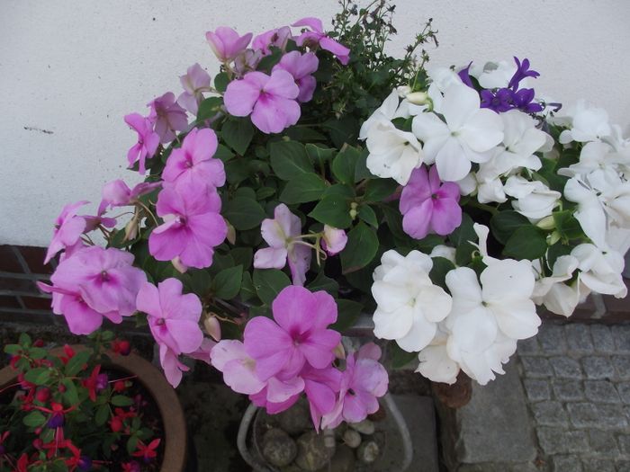 Blumen Böttjer 1 Bewertung Ganderkesee Bookholzberg