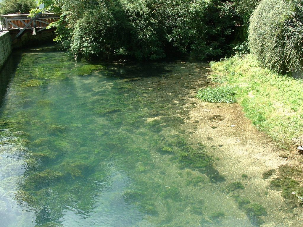 Nutzerfoto 16 Blautopfhaus Schönhofer