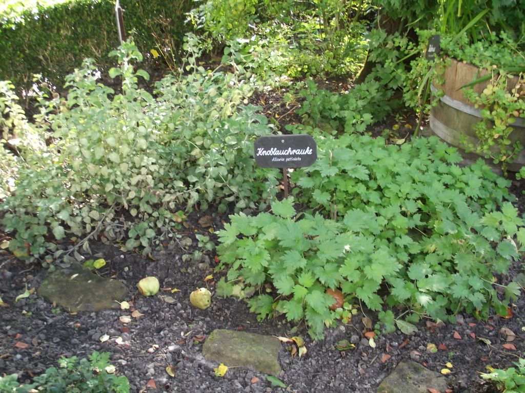 Nutzerfoto 12 Kögel-Willms-Stiftung