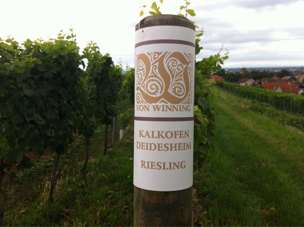 Nutzerfoto 20 von Winning Weingut GmbH