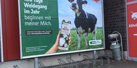 Nutzerfoto 5 REWE