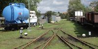 Nutzerfoto 11 DB SIW - Schifffahrt und Inselbahn Wangerooge