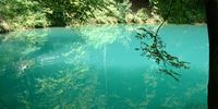 Nutzerfoto 12 Blautopfhaus Schönhofer