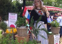 Gute Blumen in Cloppenburg | golocal