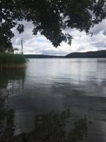 Bild zu Werbellinsee