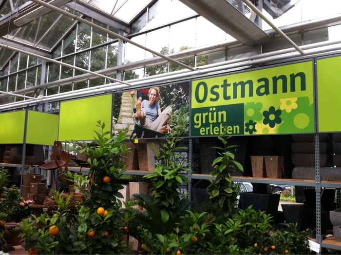 ➤ Ostmann Blumen GmbH 28816 Stuhr-Varrel Öffnungszeiten | Adresse | Telefon