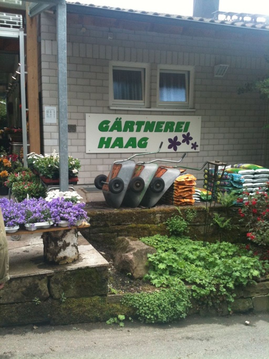 Nutzerfoto 1 Gärtnerei Haag Inh. Sabine Haag-Walz u. Nobert Walz Friedhofsgärtnerei