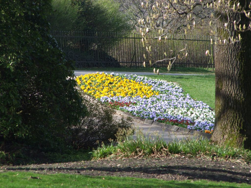 Nutzerfoto 4 Botanischer Garten Wuppertal