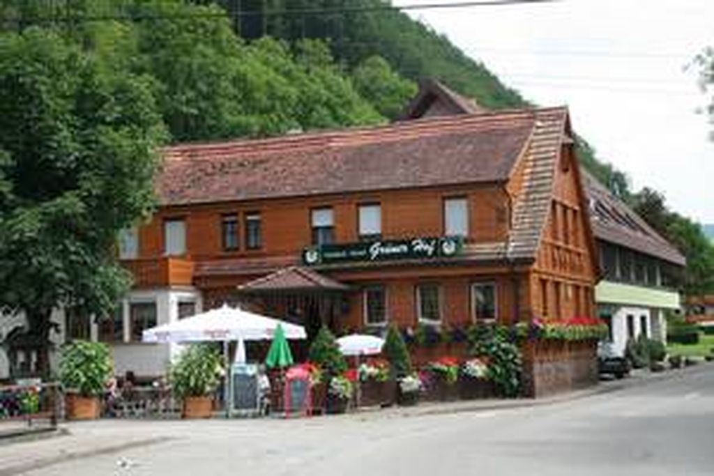 Nutzerfoto 2 Grüner Hof Pension Bundeskegelbahnen