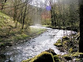 Bild zu Dorfmuseum Niederbreitbach