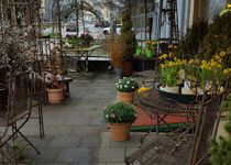 Gute Blumen in München Berg am Laim | golocal