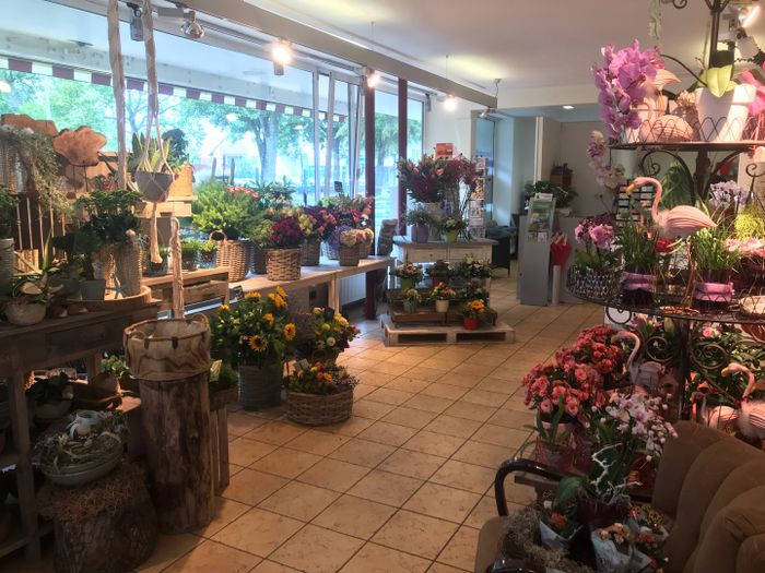 Blumen Arkade in Bielefeld ⇒ in Das Örtliche