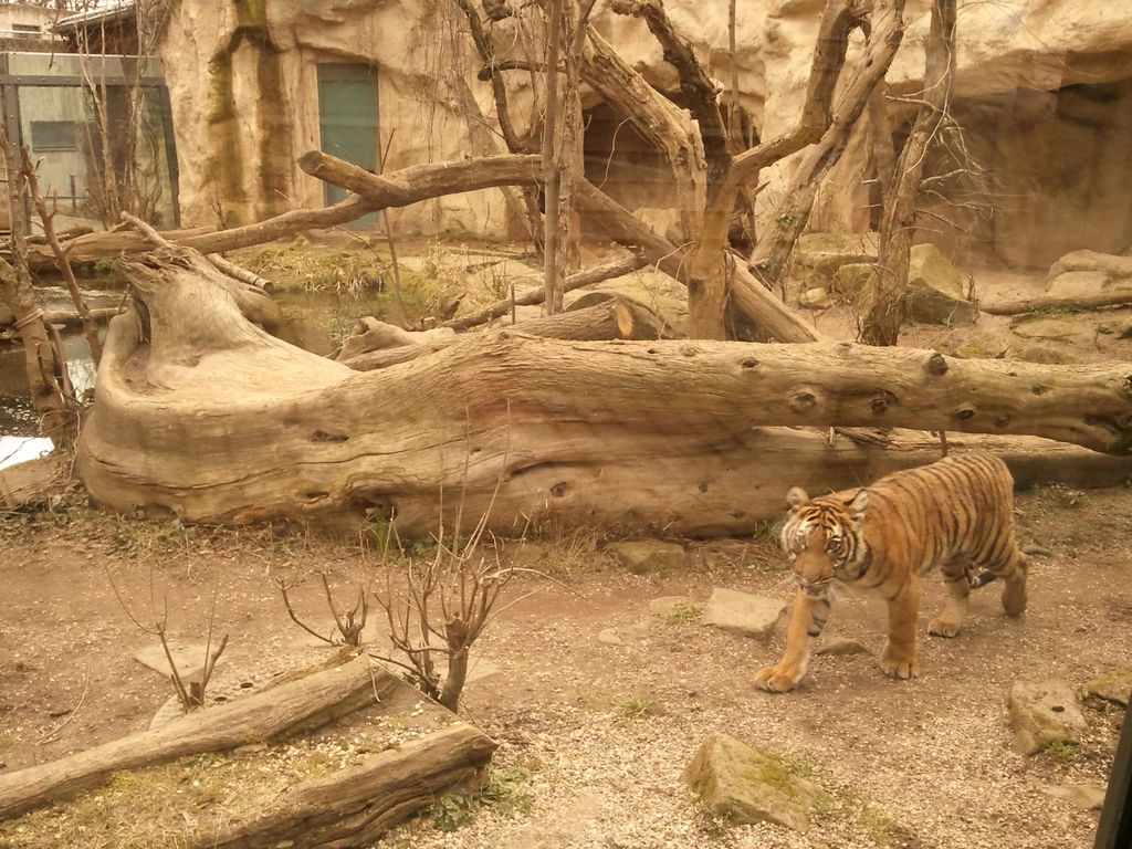 Nutzerfoto 20 Zoologischer Garten Halle GmbH