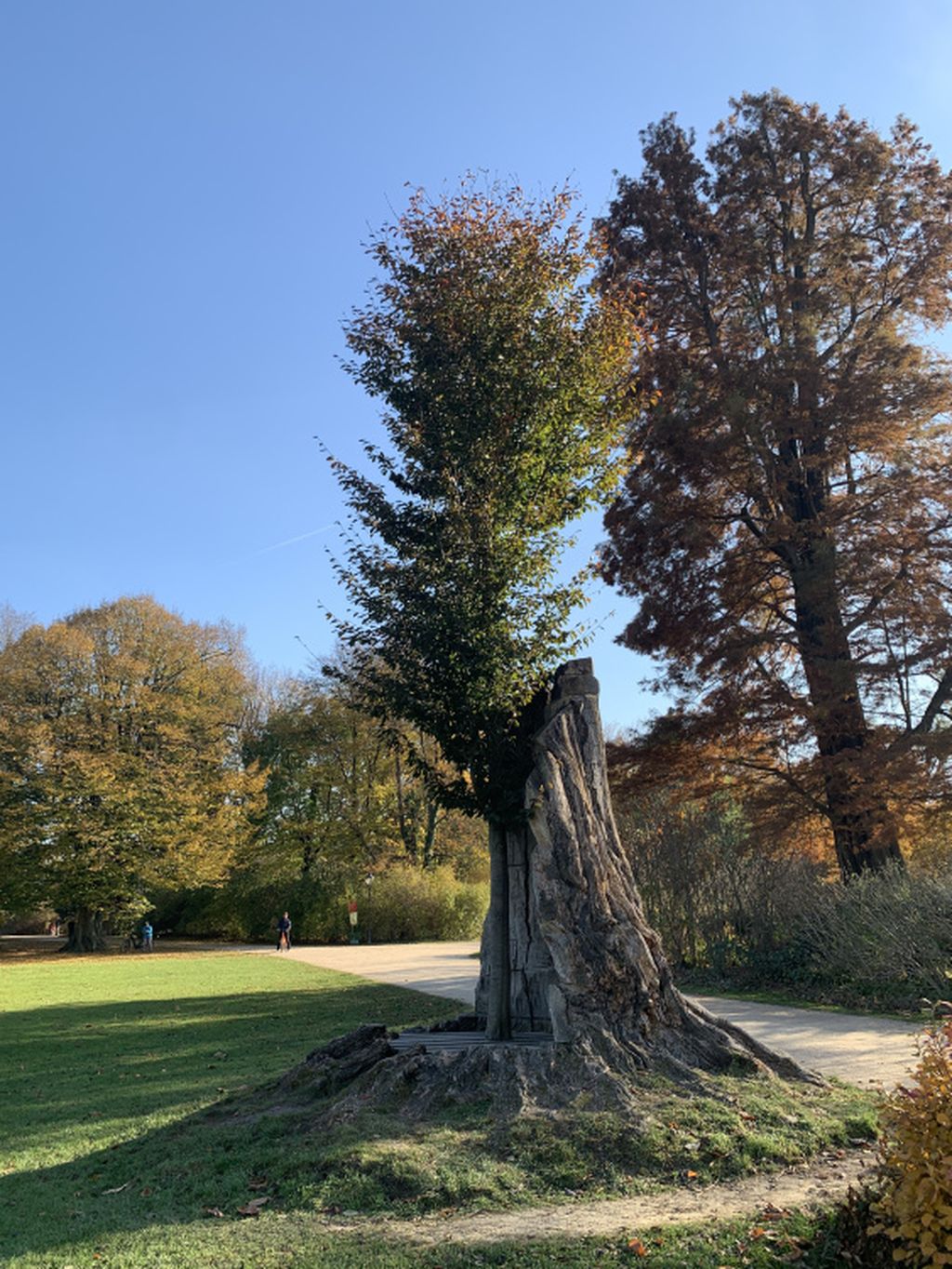 Nutzerfoto 8 Stiftung Fürst-Pückler-Park Bad Muskau Geschäftsführung