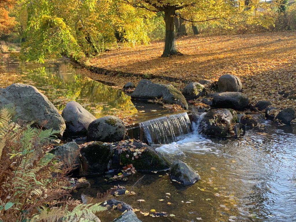 Nutzerfoto 3 Stiftung Fürst-Pückler-Park Bad Muskau Geschäftsführung