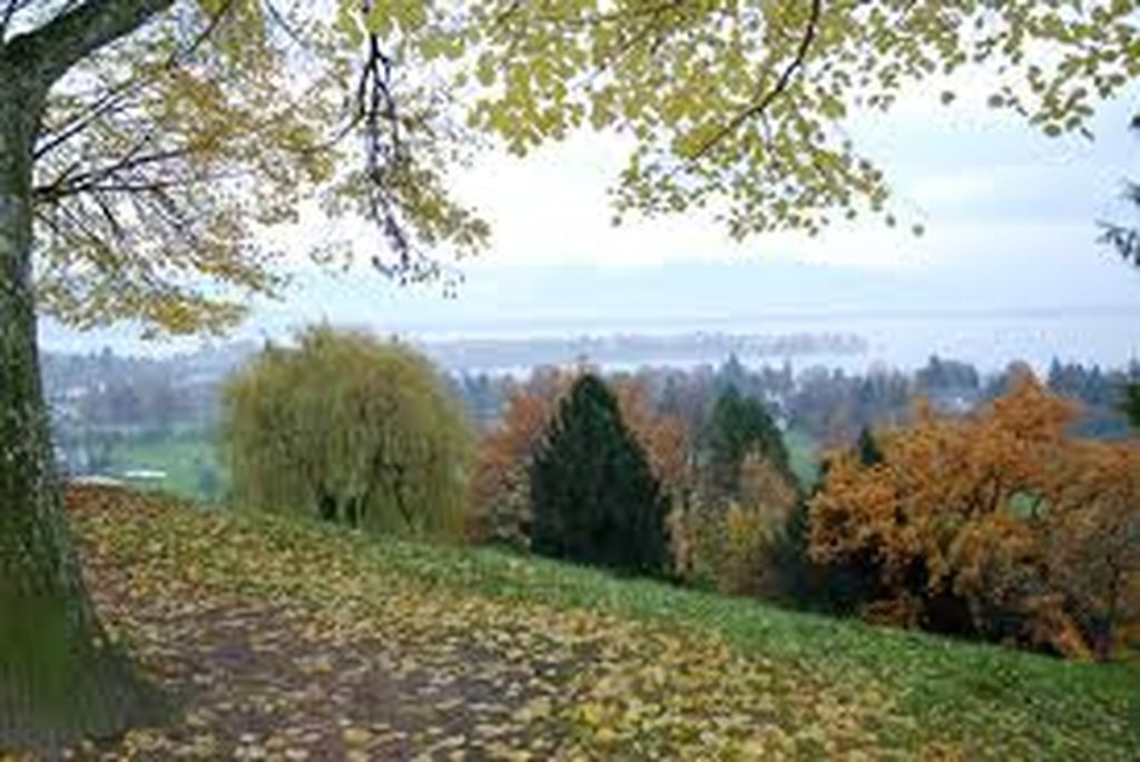 Nutzerfoto 1 Kindertagesstätte "Am Hoyerberg"