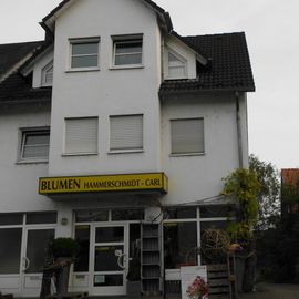 ▷ Blumen Hammerschmidt-Carl KG | Staffel Stadt Limburg, Koblenzer Str. 45A