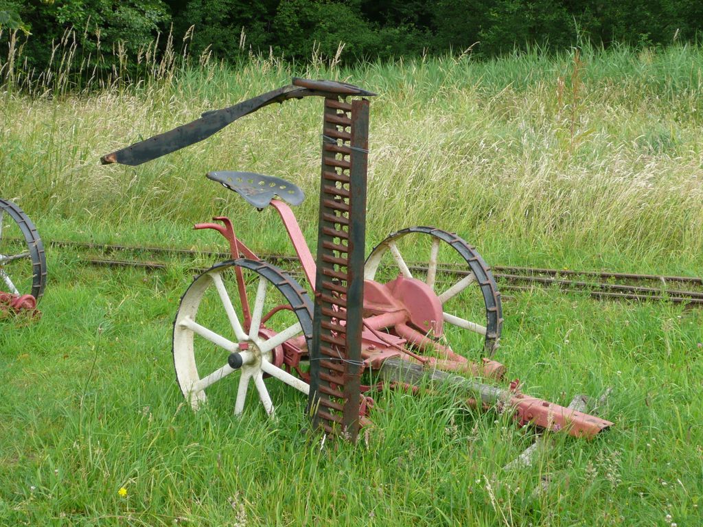 Nutzerfoto 116 Schleswig-Holsteinisches Freilichtmuseum e. V.