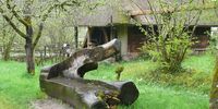 Nutzerfoto 12 Vogtsbauernhof - Schwarzwälder Freilichtmuseum