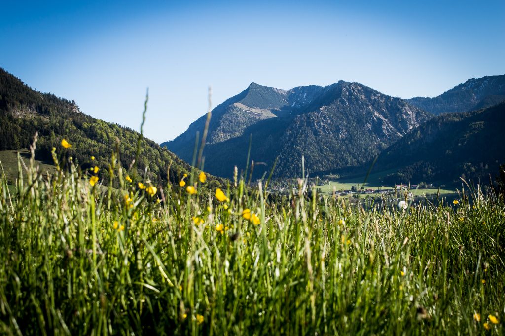 Nutzerfoto 42 Arabella Alpenhotel am Spitzingsee