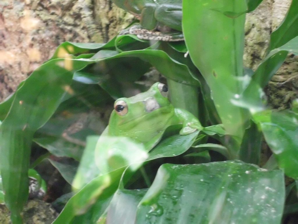 Nutzerfoto 14 Biosphäre Potsdam GmbH