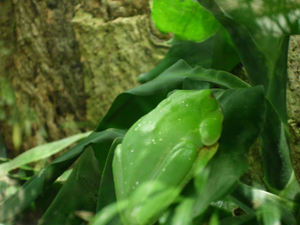 Nutzerfoto 16 Biosphäre Potsdam GmbH