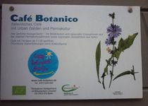 Bild zu Café Botanico Berlin