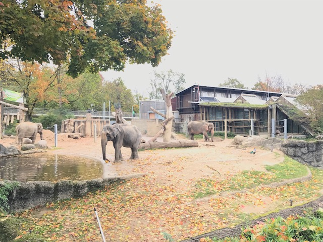 Botanischer Garten Karlsruhe 76131 Karlsruhe Oststadt Offnungszeiten Adresse Telefon