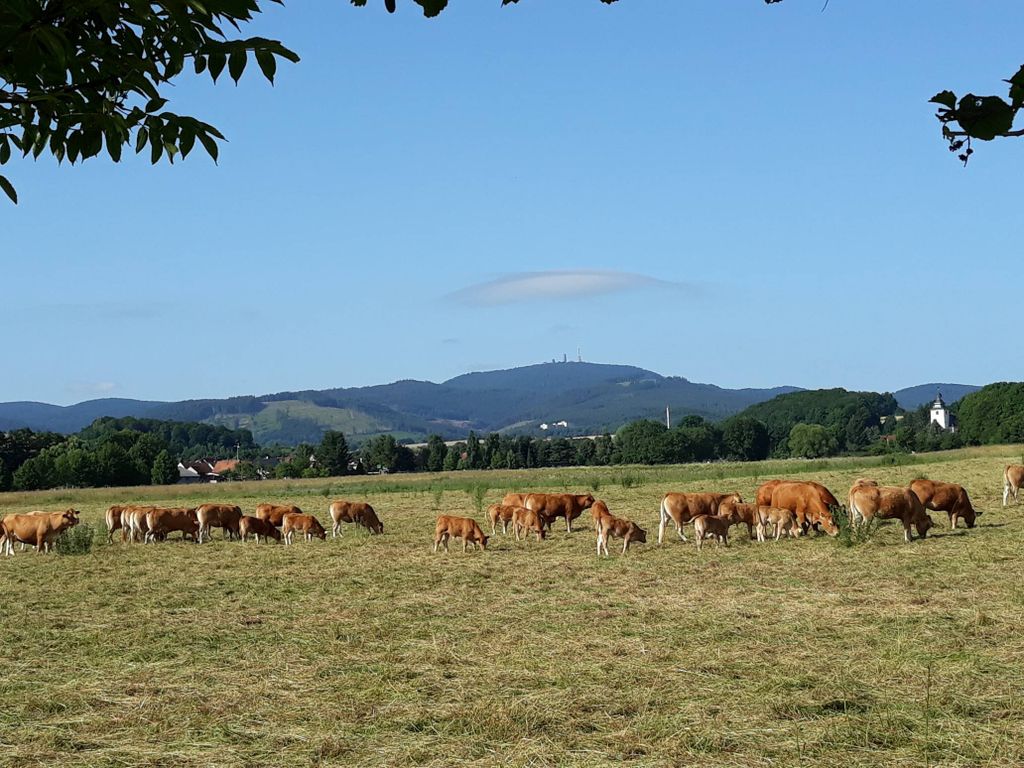 Nutzerfoto 2 Landgasthof & Landpension Hohenkirchen