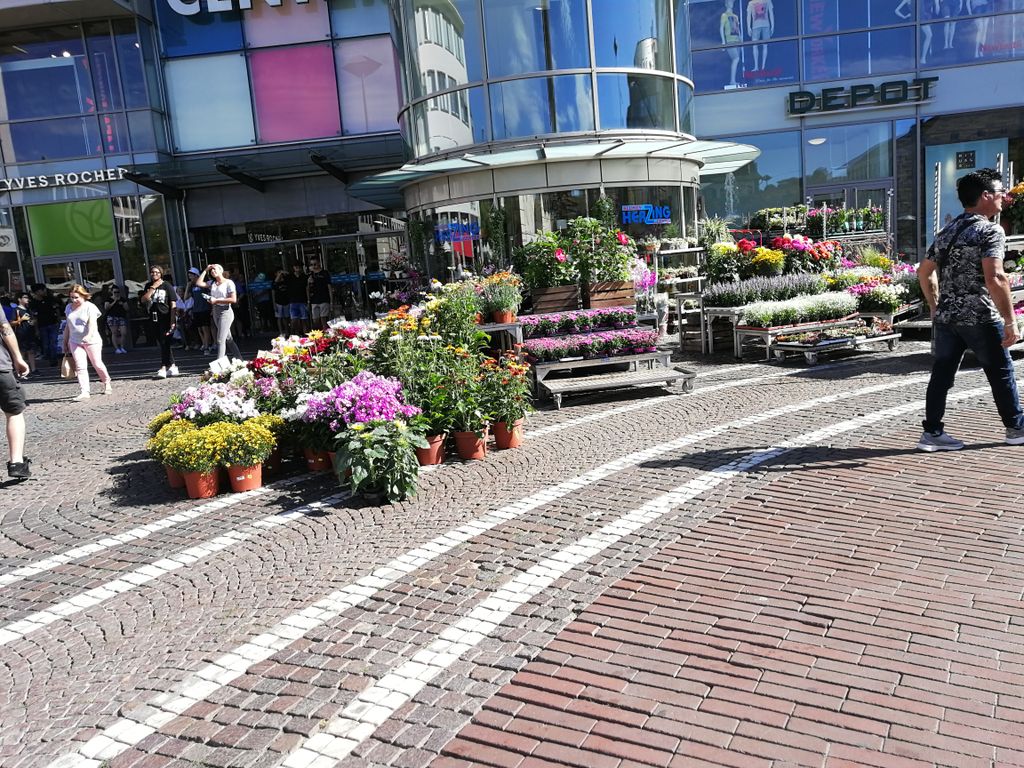 Nutzerfoto 1 Herzing Blumen im Luisencenter