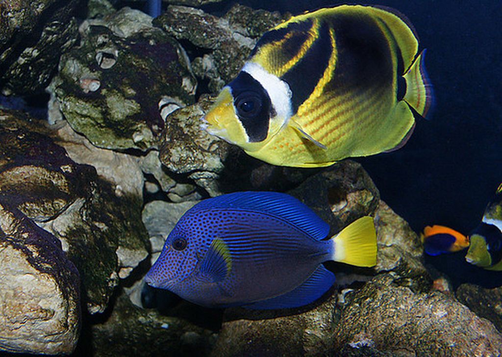 Nutzerfoto 17 Erlebnispark Meeresaquarium GmbH