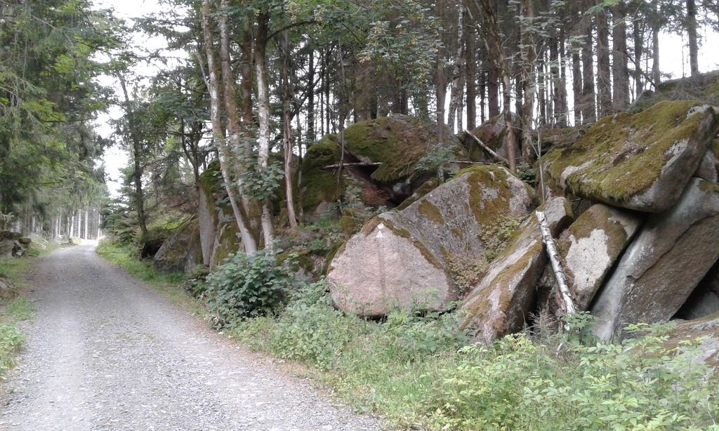 Nutzerfoto 22 Nationalpark Harz - Der Brocken