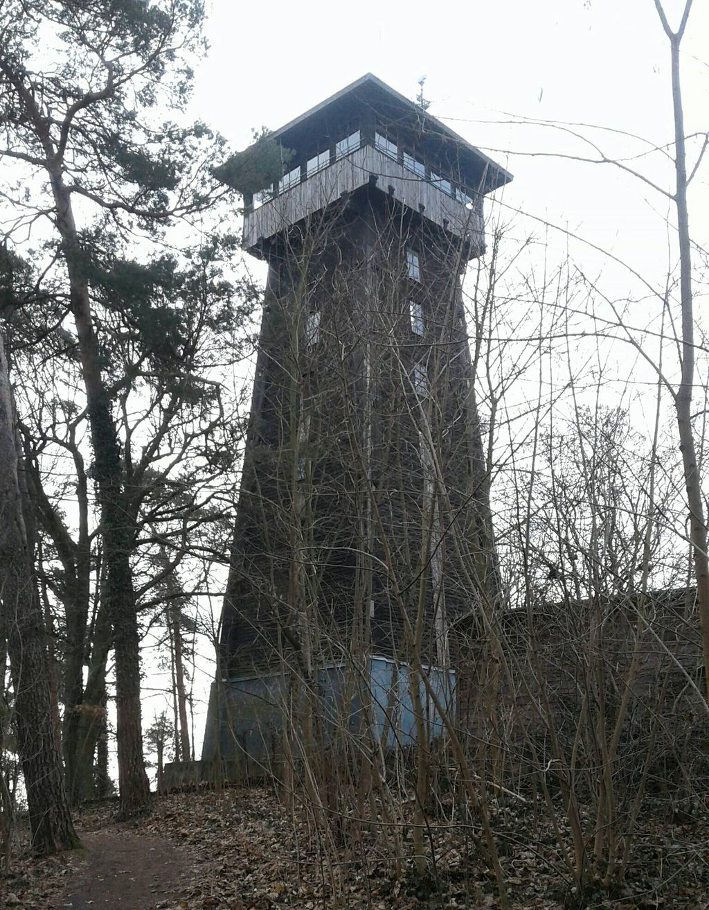 Nutzerfoto 12 Verschönerungsverein Aussichtsturm