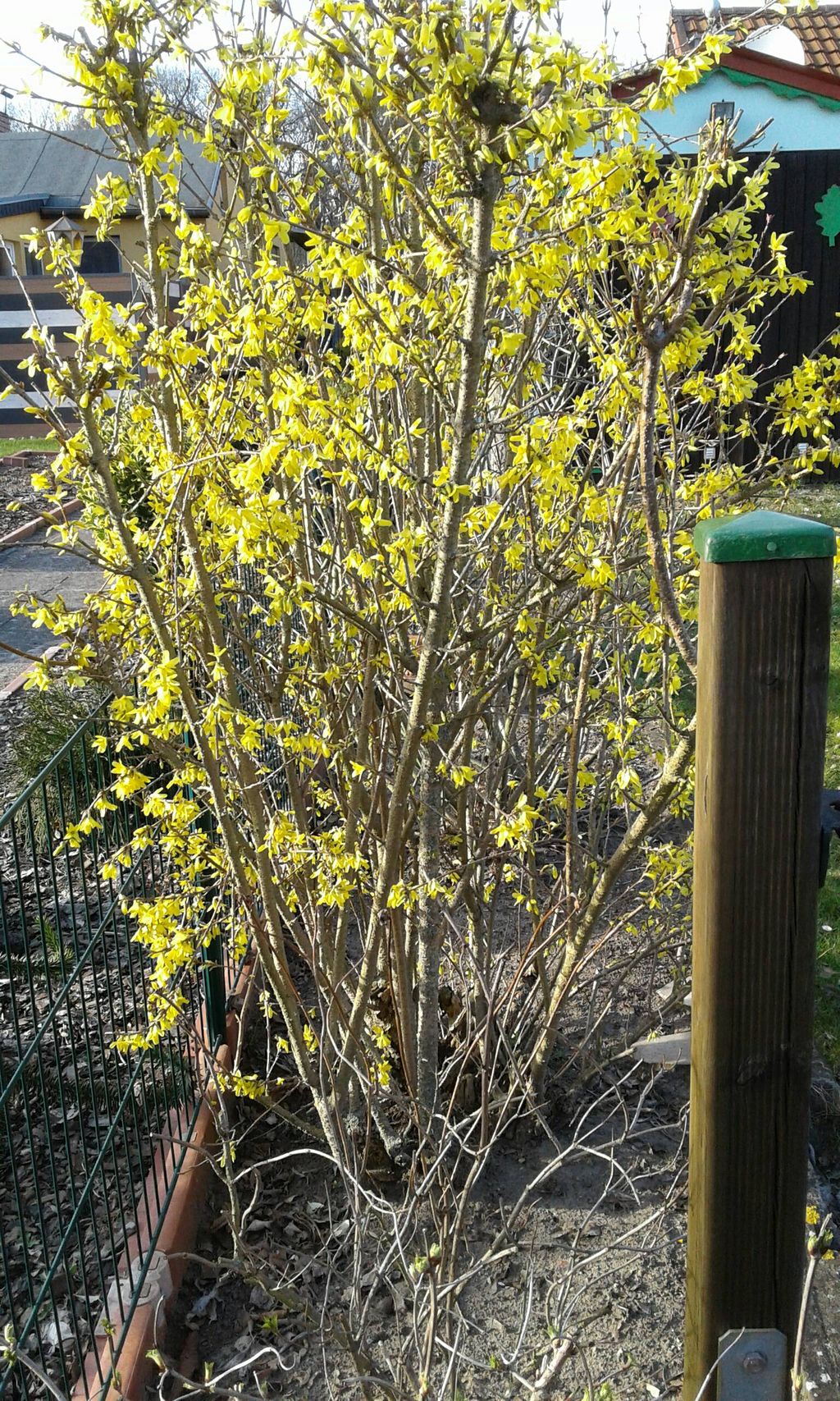 Nutzerfoto 3 Geschäftsstelle Gartensiedlung Erpetal e.V.