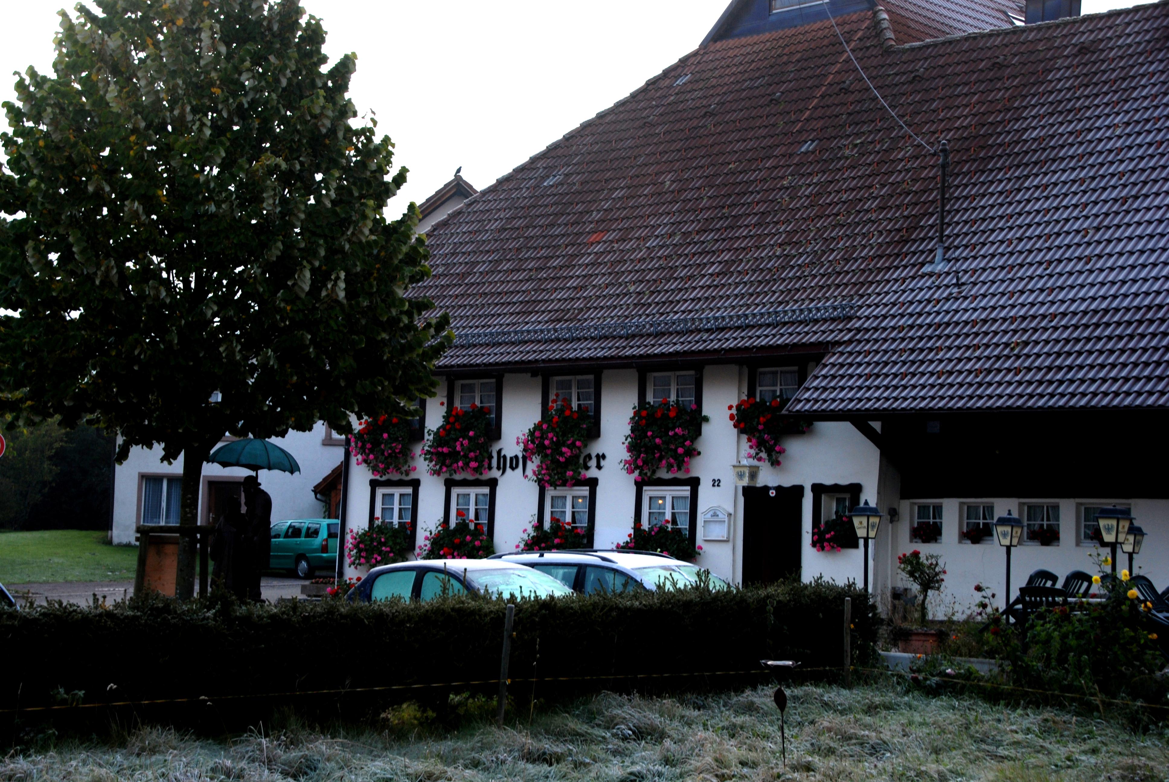 Gasthof Adler
Herbstmorgen