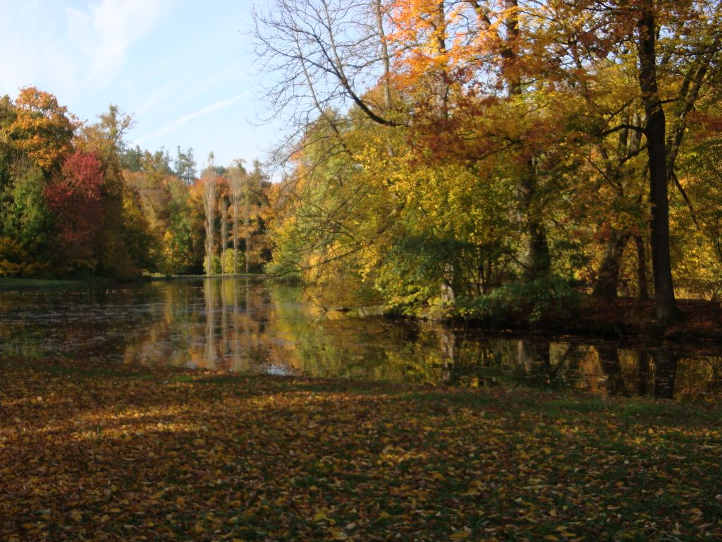 Nutzerfoto 174 Nymphenburger Porzellanmuseum im Schloß Nymphenburg