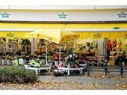 Blumen Risse - 4 Bewertungen - Münster Hiltrup - Marktallee | golocal