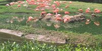 Nutzerfoto 12 Tierpark Berlin-