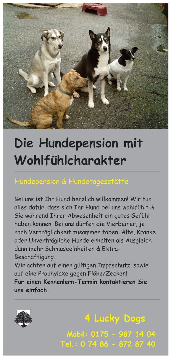 4LuckyDogs Hundepension - 3 Fotos - Horb am Neckar - Käppele | golocal