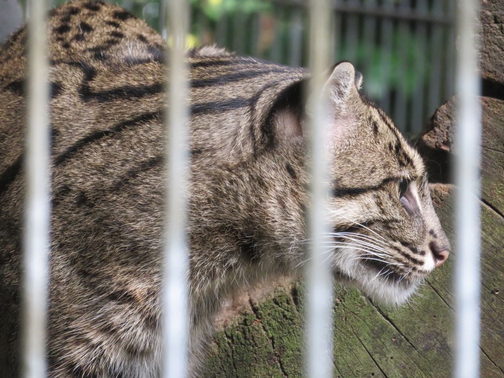 Nutzerfoto 52 ZOO Duisburg AG