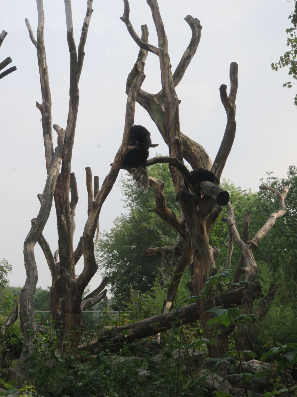 Nutzerfoto 47 ZOO Duisburg AG